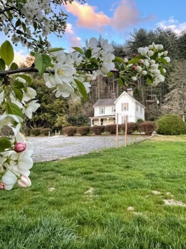 Bed and Breakfast in Pisgah Forest Key Falls Estate