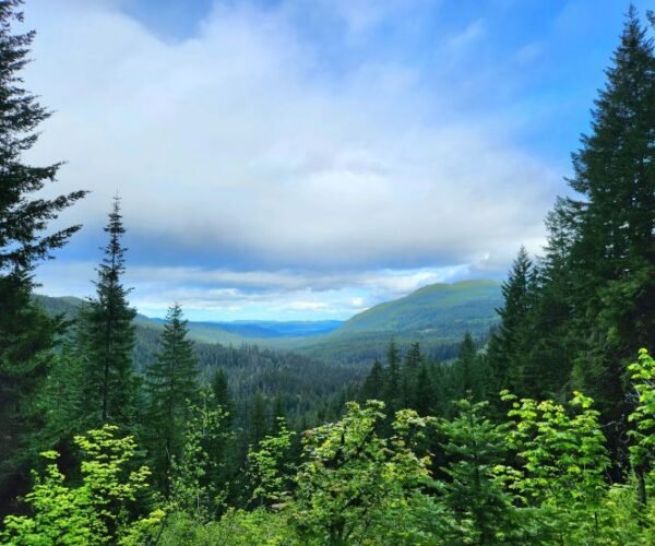 The Trout Lake Valley Inn located in Trout Lake, Washington